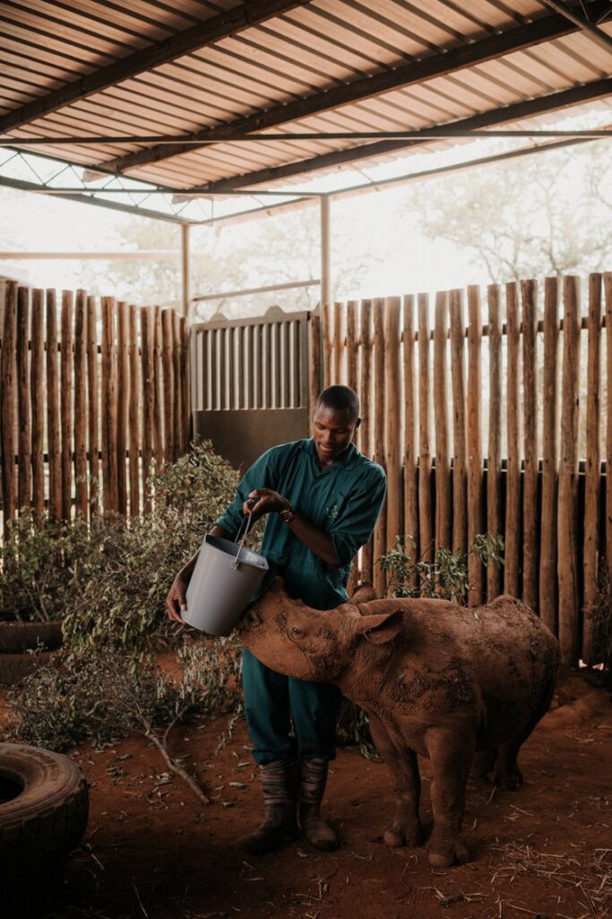 Photo by salvagecomes